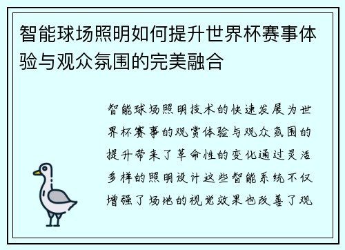 智能球场照明如何提升世界杯赛事体验与观众氛围的完美融合 智能球场照明如何提升世界杯赛事体验与观众氛围的完美融合