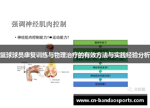 篮球球员康复训练与物理治疗的有效方法与实践经验分析 篮球球员康复训练与物理治疗的有效方法与实践经验分析