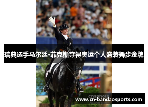 瑞典选手马尔廷·菲克斯夺得奥运个人盛装舞步金牌 瑞典选手马尔廷·菲克斯夺得奥运个人盛装舞步金牌