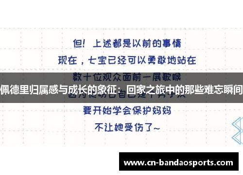 佩德里归属感与成长的象征:回家之旅中的那些难忘瞬间 佩德里归属感与成长的象征:回家之旅中的那些难忘瞬间