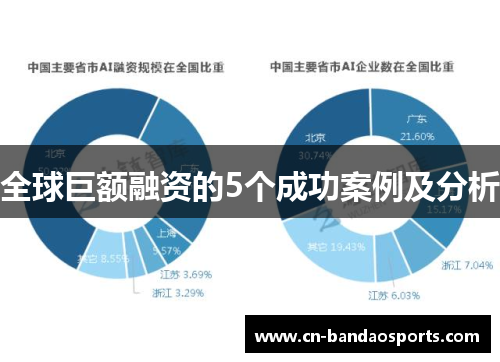 全球巨额融资的5个成功案例及分析 全球巨额融资的5个成功案例及分析