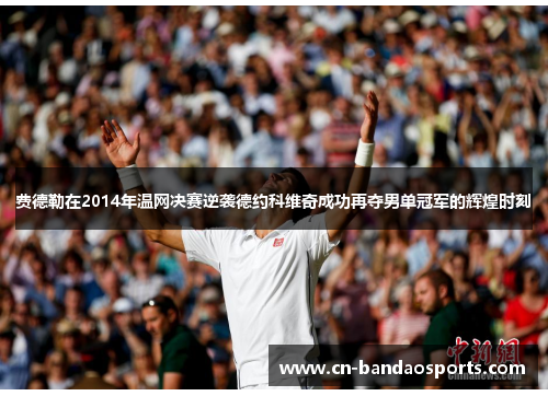 费德勒在2014年温网决赛逆袭德约科维奇成功再夺男单冠军的辉煌时刻