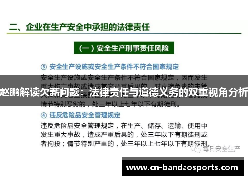 赵鹏解读欠薪问题：法律责任与道德义务的双重视角分析