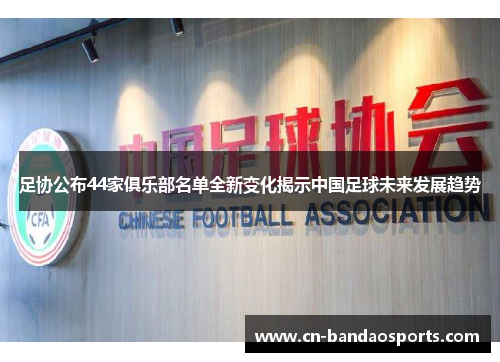足协公布44家俱乐部名单全新变化揭示中国足球未来发展趋势