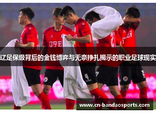 辽足保级背后的金钱博弈与无奈挣扎揭示的职业足球现实 辽足保级背后的金钱博弈与无奈挣扎揭示的职业足球现实