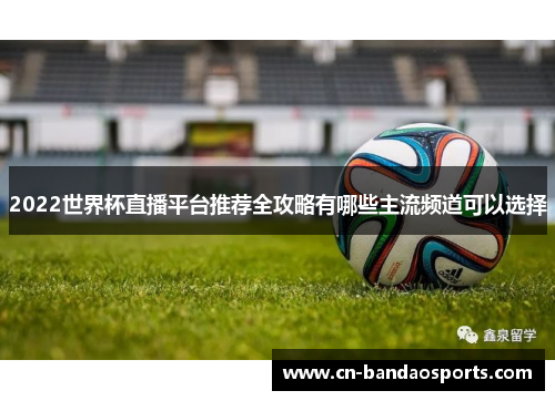 2022世界杯直播平台推荐全攻略有哪些主流频道可以选择 2022世界杯直播平台推荐全攻略有哪些主流频道可以选择