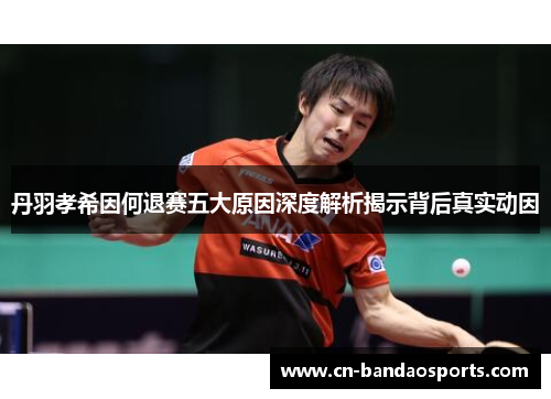 丹羽孝希因何退赛五大原因深度解析揭示背后真实动因