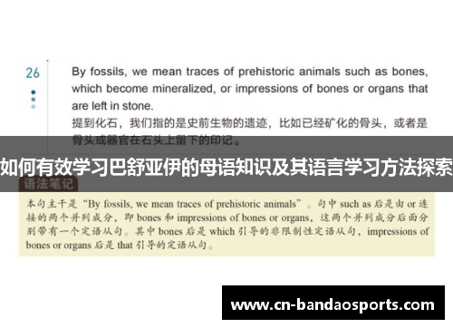 如何有效学习巴舒亚伊的母语知识及其语言学习方法探索 如何有效学习巴舒亚伊的母语知识及其语言学习方法探索