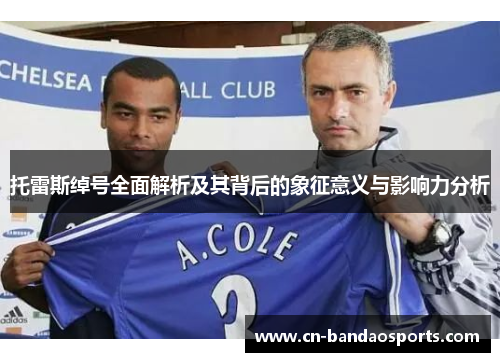 托雷斯绰号全面解析及其背后的象征意义与影响力分析 托雷斯绰号全面解析及其背后的象征意义与影响力分析