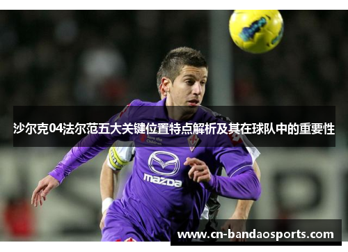 沙尔克04法尔范五大关键位置特点解析及其在球队中的重要性 沙尔克04法尔范五大关键位置特点解析及其在球队中的重要性